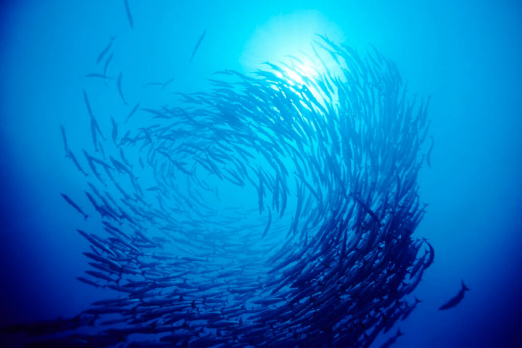 The Business Case for Accelerating Women’s Health Investment